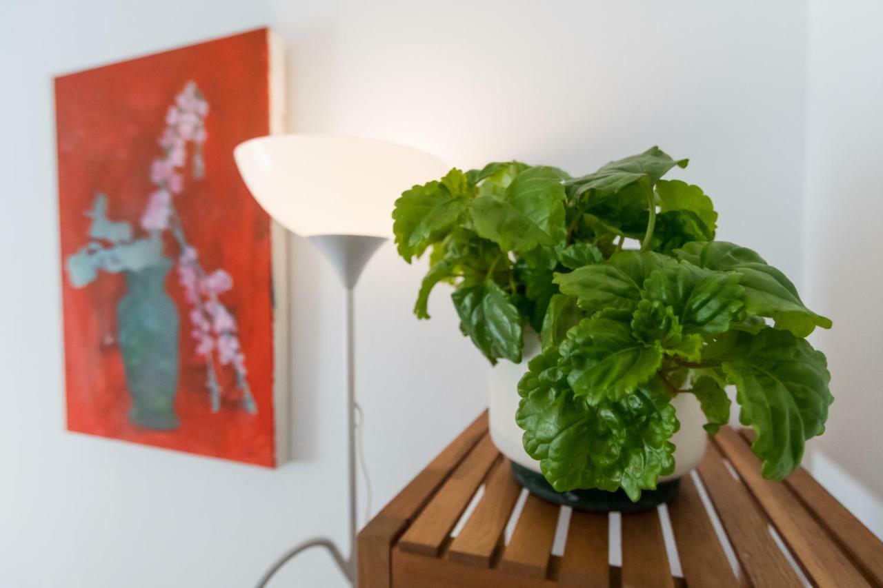 Apartamento La Galeria De San Antonio Cadiz Dış mekan fotoğraf